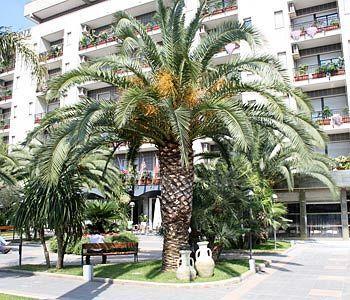 Rondo' Hotel บารี ภายนอก รูปภาพ